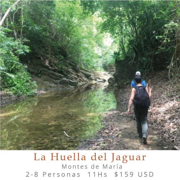 La-huella-del-jaguar